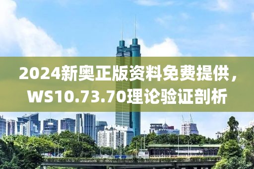 2024新奧正版資料免費(fèi)提供，WS10.73.70理論驗(yàn)證剖析