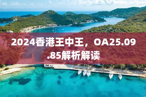 2024香港王中王，OA25.09.85解析解讀