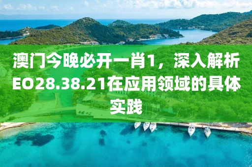澳門今晚必開一肖1，深入解析EO28.38.21在應用領域的具體實踐