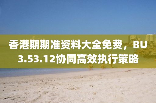 香港期期準(zhǔn)資料大全免費(fèi)，BU3.53.12協(xié)同高效執(zhí)行策略