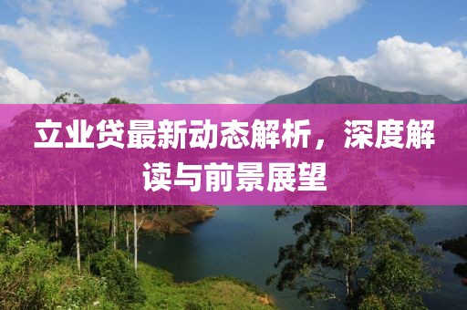 立業(yè)貸最新動態(tài)解析，深度解讀與前景展望