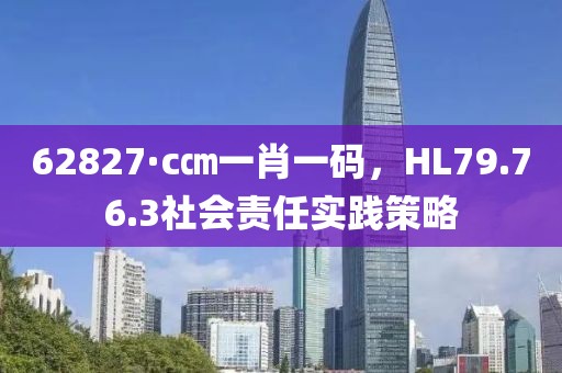 62827·c㎝一肖一碼，HL79.76.3社會(huì)責(zé)任實(shí)踐策略