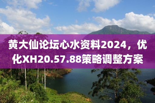 黃大仙論壇心水資料2024，優(yōu)化XH20.57.88策略調(diào)整方案