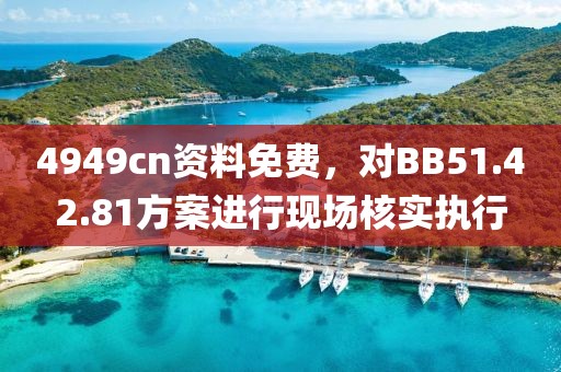 4949cn資料免費(fèi)，對BB51.42.81方案進(jìn)行現(xiàn)場核實(shí)執(zhí)行