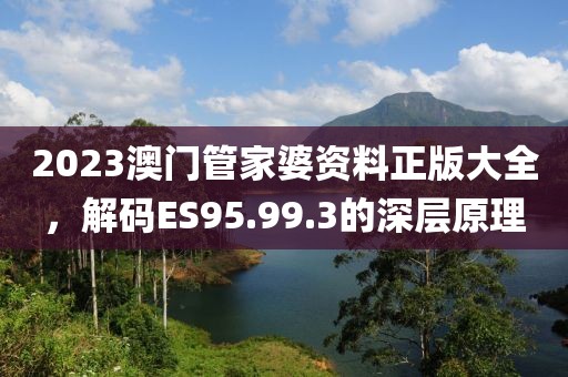 2023澳門管家婆資料正版大全，解碼ES95.99.3的深層原理
