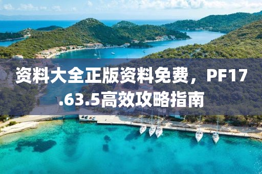 資料大全正版資料免費(fèi)，PF17.63.5高效攻略指南