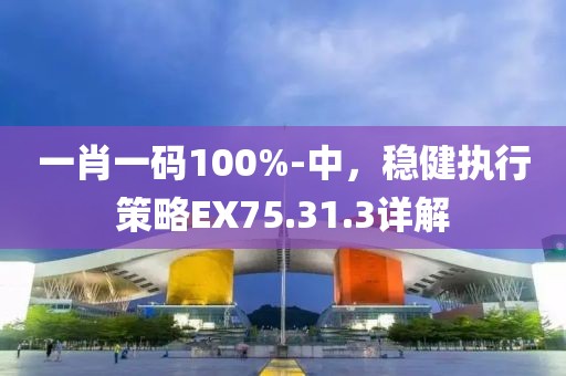 一肖一碼100%-中，穩(wěn)健執(zhí)行策略EX75.31.3詳解
