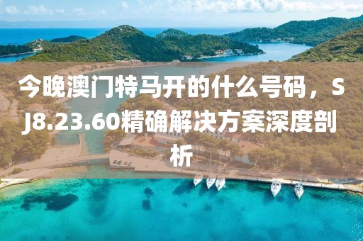 今晚澳門特馬開的什么號碼，SJ8.23.60精確解決方案深度剖析