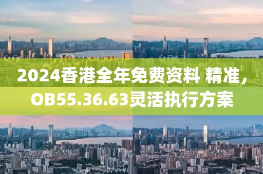 2024香港全年免費(fèi)資料 精準(zhǔn)，OB55.36.63靈活執(zhí)行方案
