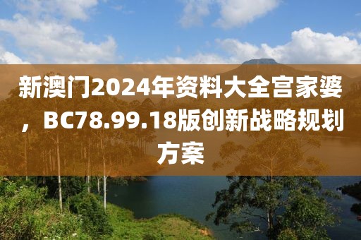 新澳門2024年資料大全宮家婆，BC78.99.18版創(chuàng)新戰(zhàn)略規(guī)劃方案