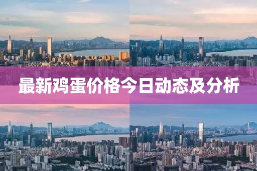 最新雞蛋價(jià)格今日動態(tài)及分析