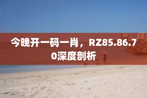 今晚開一碼一肖，RZ85.86.70深度剖析