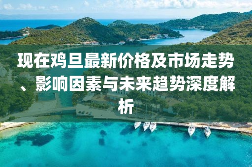 現(xiàn)在雞旦最新價格及市場走勢、影響因素與未來趨勢深度解析