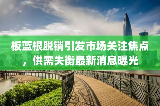 板藍根脫銷引發(fā)市場關(guān)注焦點，供需失衡最新消息曝光