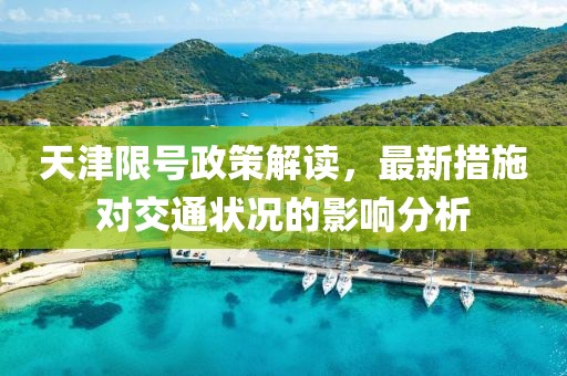 天津限號(hào)政策解讀，最新措施對交通狀況的影響分析