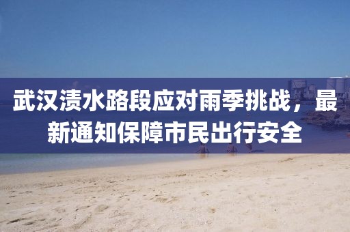武漢漬水路段應(yīng)對雨季挑戰(zhàn)，最新通知保障市民出行安全