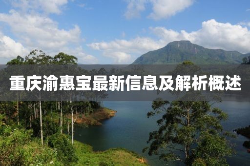 重慶渝惠寶最新信息及解析概述