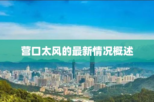 營(yíng)口太風(fēng)的最新情況概述