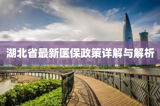 湖北省最新醫(yī)保政策詳解與解析