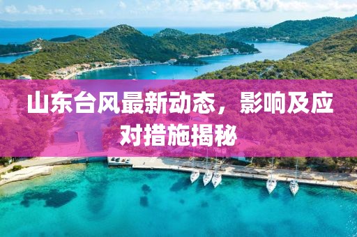 山東臺風最新動態(tài)，影響及應對措施揭秘