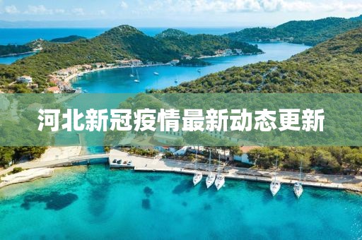 河北新冠疫情最新動態(tài)更新