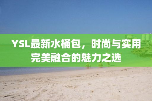 YSL最新水桶包，時(shí)尚與實(shí)用完美融合的魅力之選