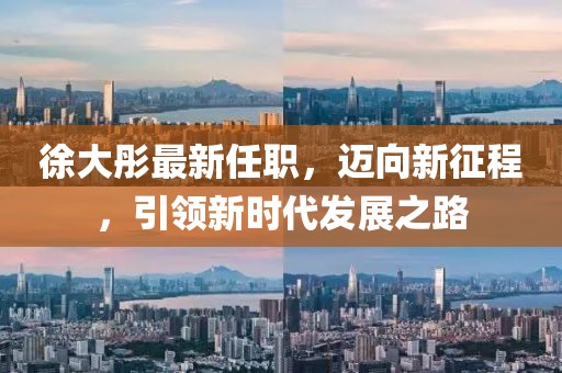 徐大彤最新任職，邁向新征程，引領(lǐng)新時(shí)代發(fā)展之路