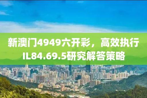 新澳門4949六開彩，高效執(zhí)行IL84.69.5研究解答策略