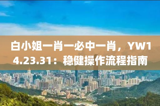 白小姐一肖一必中一肖，YW14.23.31：穩(wěn)健操作流程指南