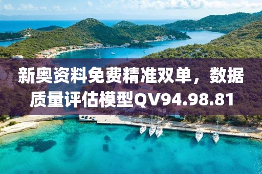 新奧資料免費(fèi)精準(zhǔn)雙單，數(shù)據(jù)質(zhì)量評估模型QV94.98.81