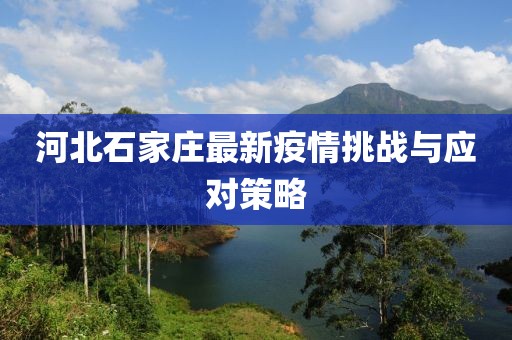 河北石家莊最新疫情挑戰(zhàn)與應(yīng)對策略
