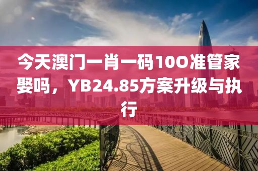 今天澳門一肖一碼10O準管家娶嗎，YB24.85方案升級與執(zhí)行