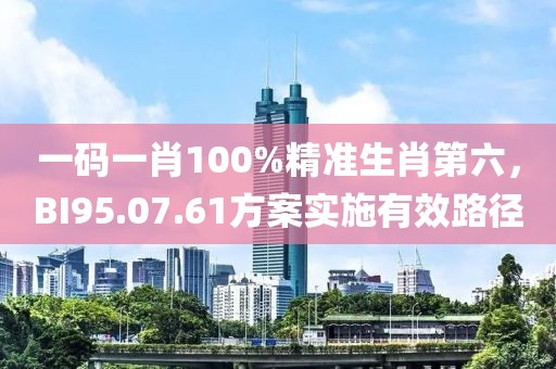 一碼一肖100%精準(zhǔn)生肖第六，BI95.07.61方案實(shí)施有效路徑