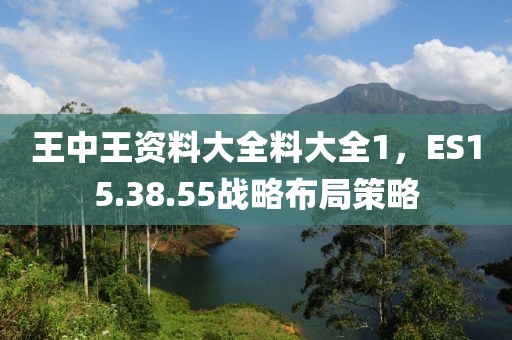 王中王資料大全料大全1，ES15.38.55戰(zhàn)略布局策略