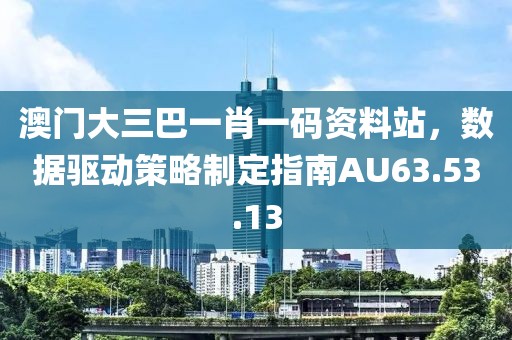 澳門(mén)大三巴一肖一碼資料站，數(shù)據(jù)驅(qū)動(dòng)策略制定指南AU63.53.13