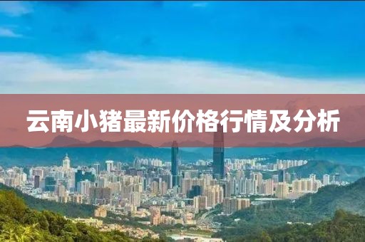 云南小豬最新價格行情及分析