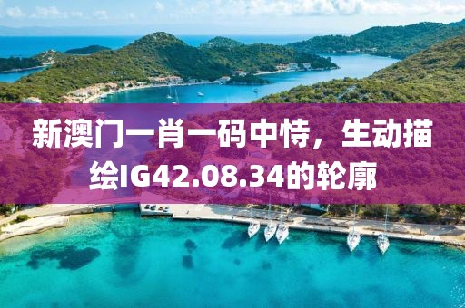 新澳門一肖一碼中恃，生動描繪IG42.08.34的輪廓