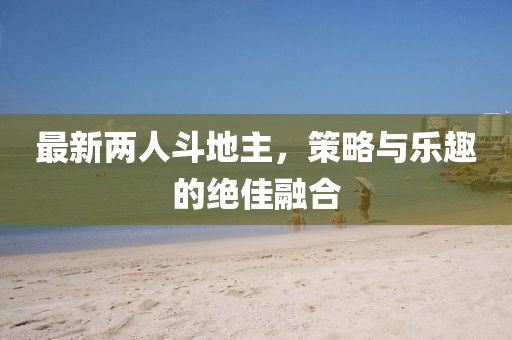 最新兩人斗地主，策略與樂趣的絕佳融合