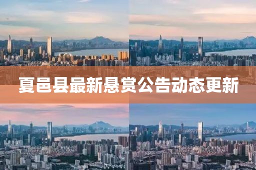 夏邑縣最新懸賞公告動(dòng)態(tài)更新