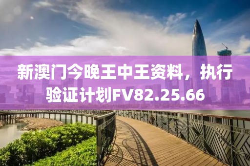 新澳門今晚王中王資料，執(zhí)行驗(yàn)證計(jì)劃FV82.25.66