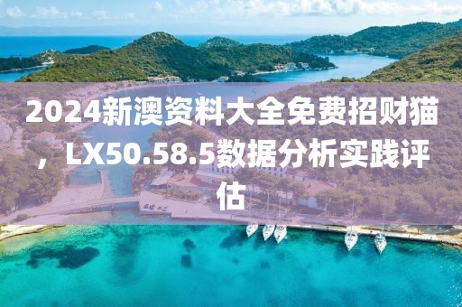 2024新澳資料大全免費(fèi)招財(cái)貓，LX50.58.5數(shù)據(jù)分析實(shí)踐評(píng)估
