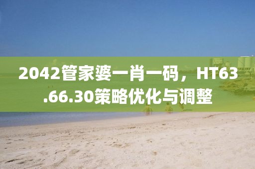 2042管家婆一肖一碼，HT63.66.30策略優(yōu)化與調(diào)整