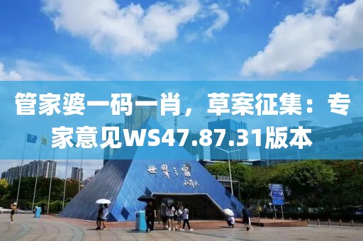 管家婆一碼一肖，草案征集：專家意見WS47.87.31版本