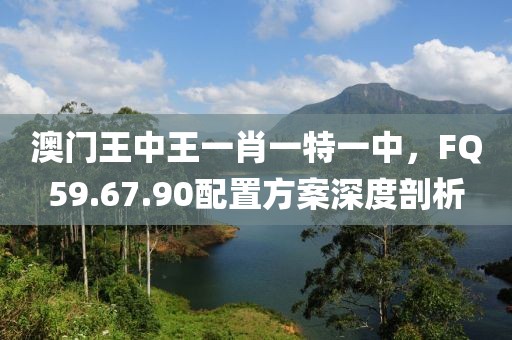 澳門王中王一肖一特一中，F(xiàn)Q59.67.90配置方案深度剖析