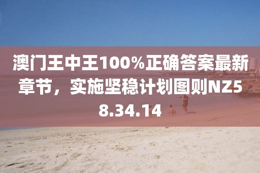 澳門王中王100%正確答案最新章節(jié)，實(shí)施堅(jiān)穩(wěn)計(jì)劃圖則NZ58.34.14
