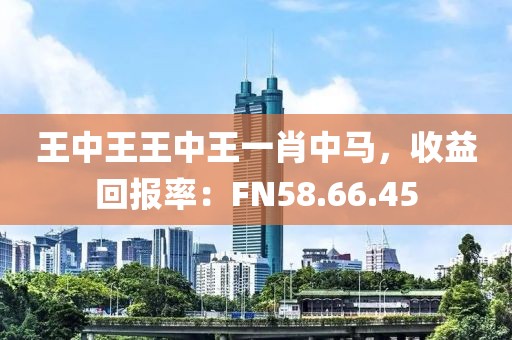 王中王王中王一肖中馬，收益回報(bào)率：FN58.66.45