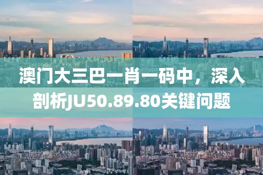 澳門(mén)大三巴一肖一碼中，深入剖析JU50.89.80關(guān)鍵問(wèn)題