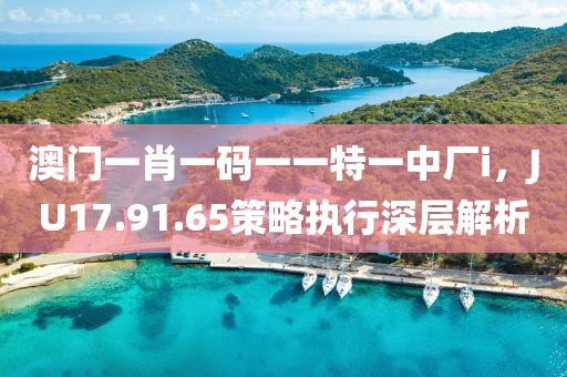 澳門一肖一碼一一特一中廠i，JU17.91.65策略執(zhí)行深層解析
