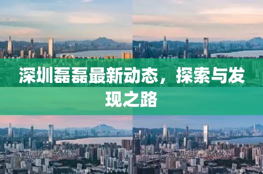 深圳磊磊最新動(dòng)態(tài)，探索與發(fā)現(xiàn)之路