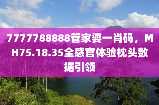 7777788888管家婆一肖碼，MH75.18.35全感官體驗枕頭數(shù)據(jù)引領